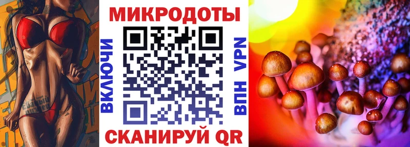 Псилоцибиновые грибы мухоморы Вяземский